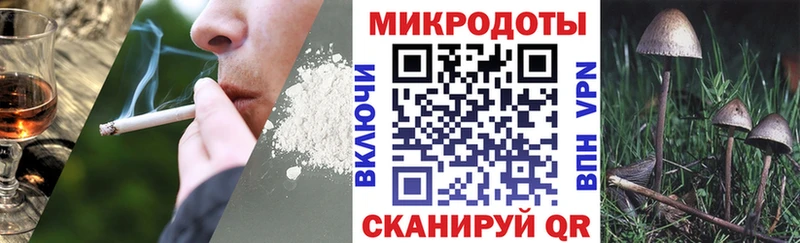 Галлюциногенные грибы Cubensis  Дмитров 