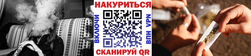 где можно купить   Дмитров  Бошки Шишки планчик 